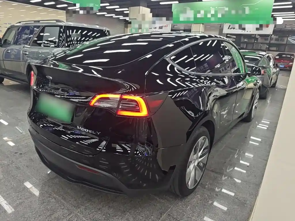 Tesla Model Y — миниатюра 7