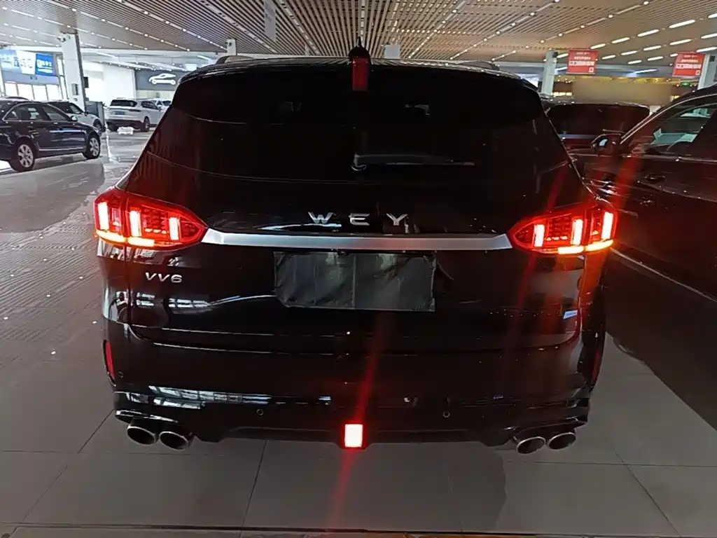Wey Wey VV6 — миниатюра 6