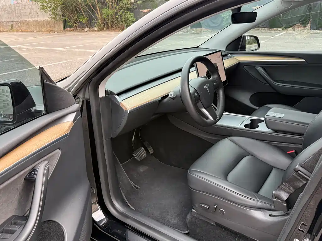 Tesla Model Y — миниатюра 8