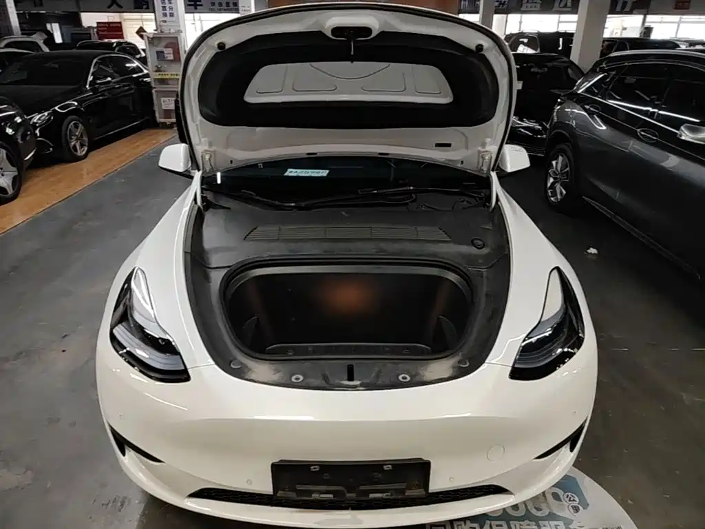 Tesla Model Y — миниатюра 20