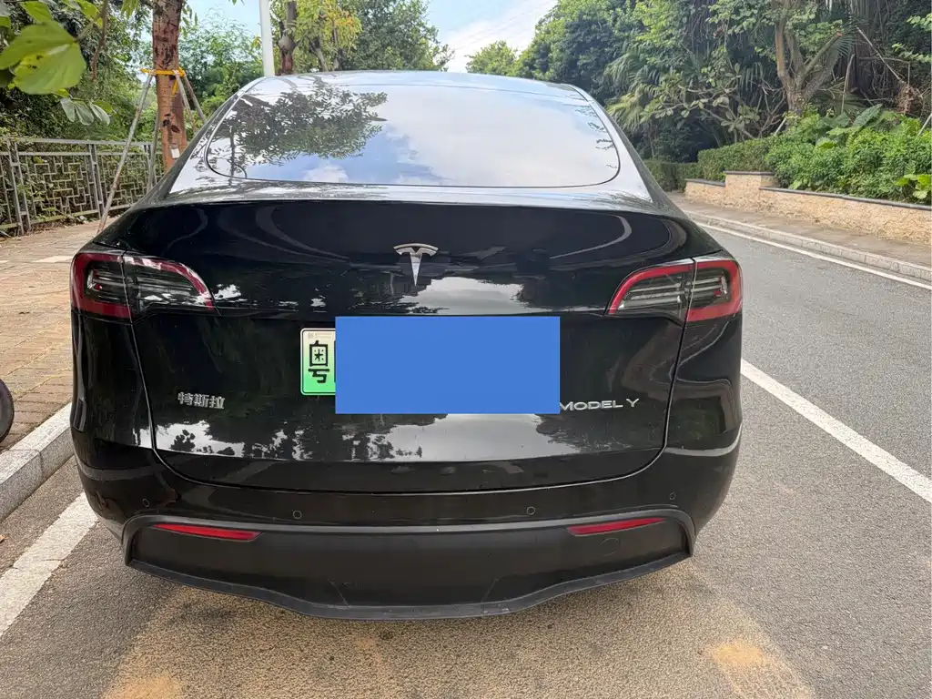 Tesla Model Y — миниатюра 13