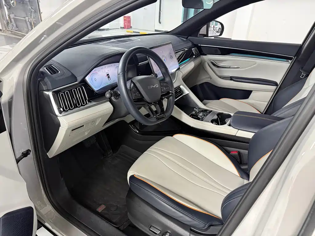 BYD PLUS New Energy — миниатюра 4