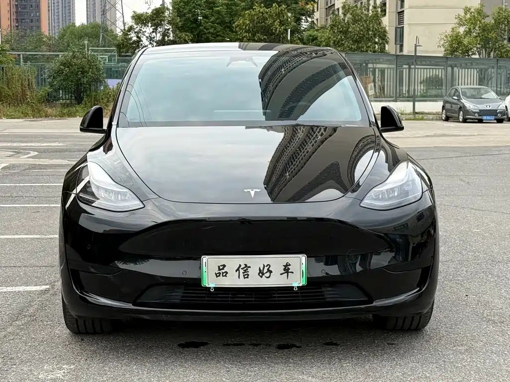 Tesla Model Y — миниатюра 2