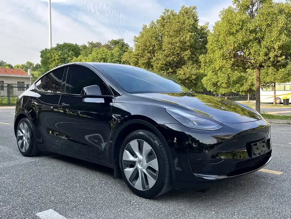 Tesla Model Y — миниатюра 3