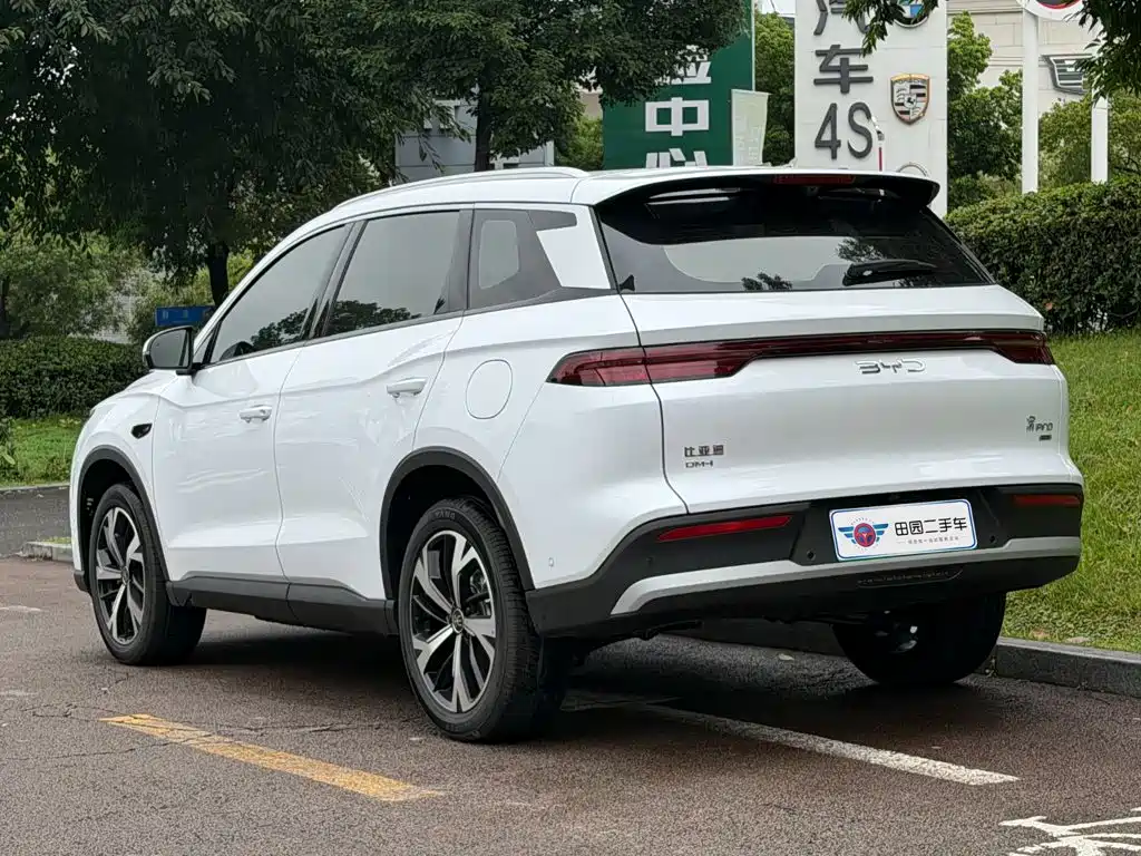 BYD Pro New Energy — миниатюра 4