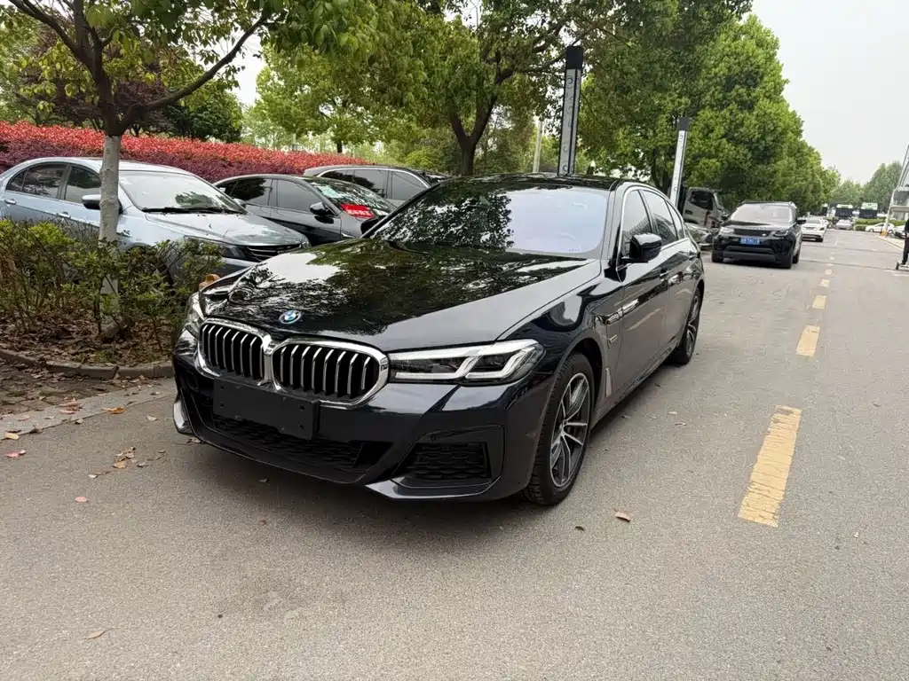 BMW 5 Series New Energy 2024