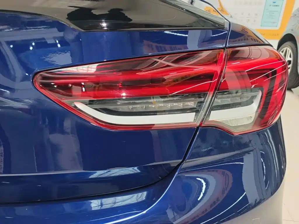 Buick Regal — миниатюра 8
