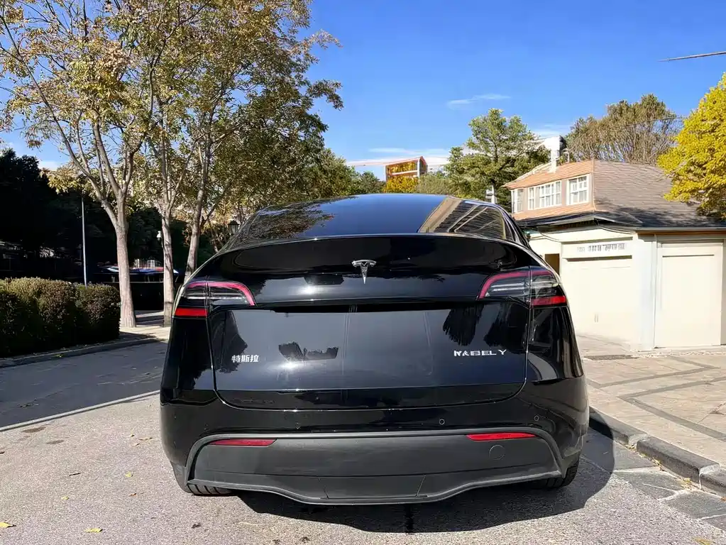 Tesla Model Y — миниатюра 5
