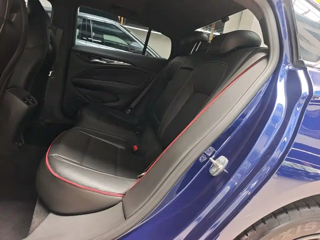 Buick Regal — миниатюра 17
