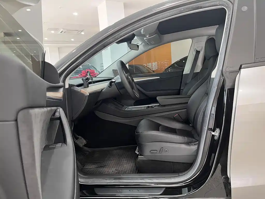 Tesla Model Y — миниатюра 7