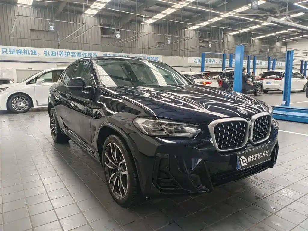 BMW X4 — миниатюра 7