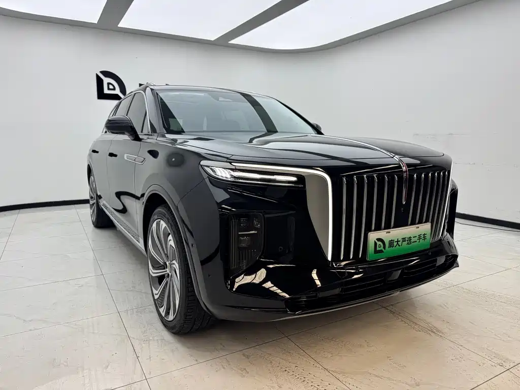 Hongqi Hongqi E-HS9 — миниатюра 3