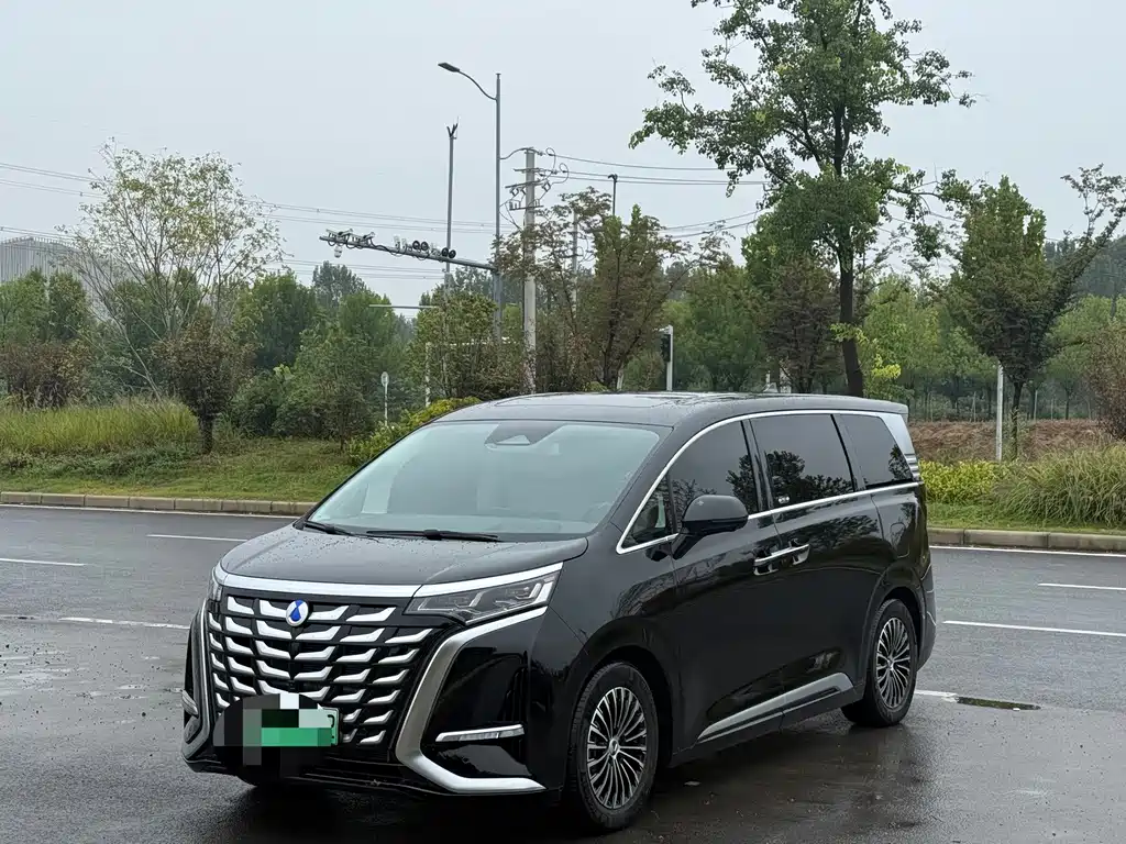 Denza Denza D9