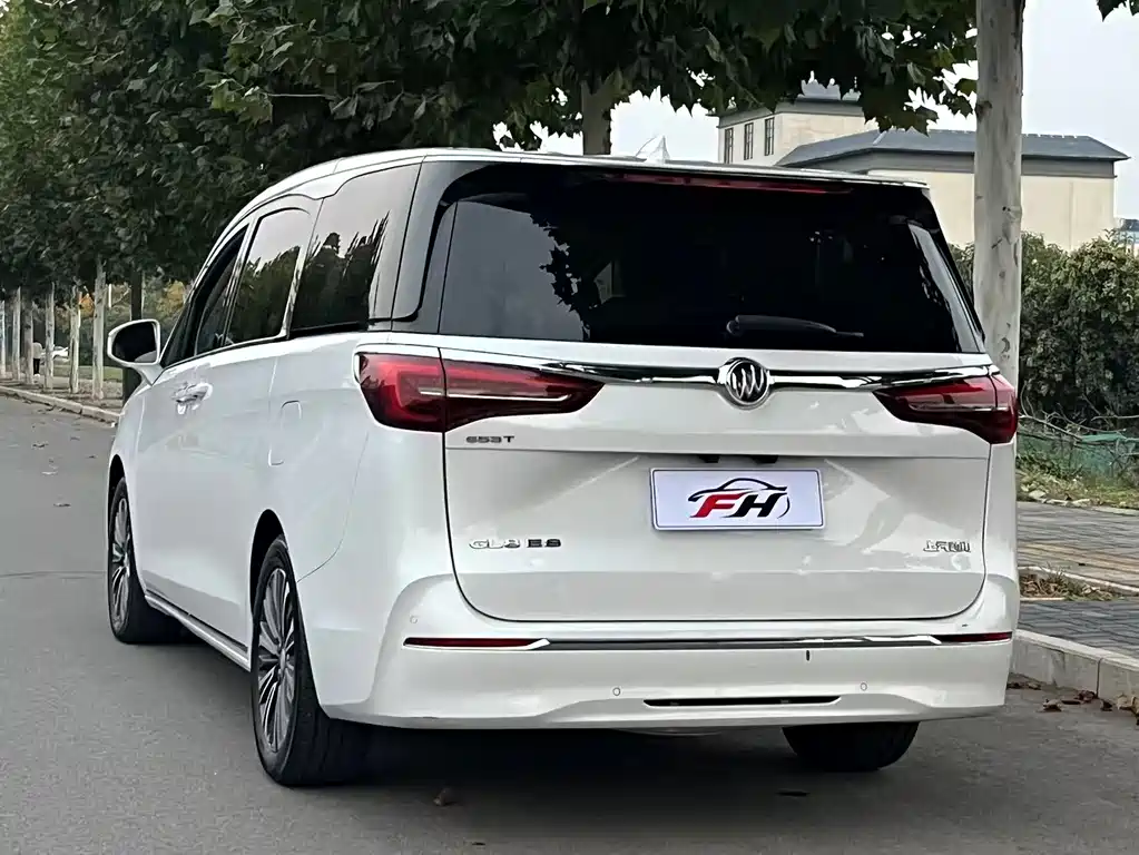 Buick GL8 — миниатюра 16