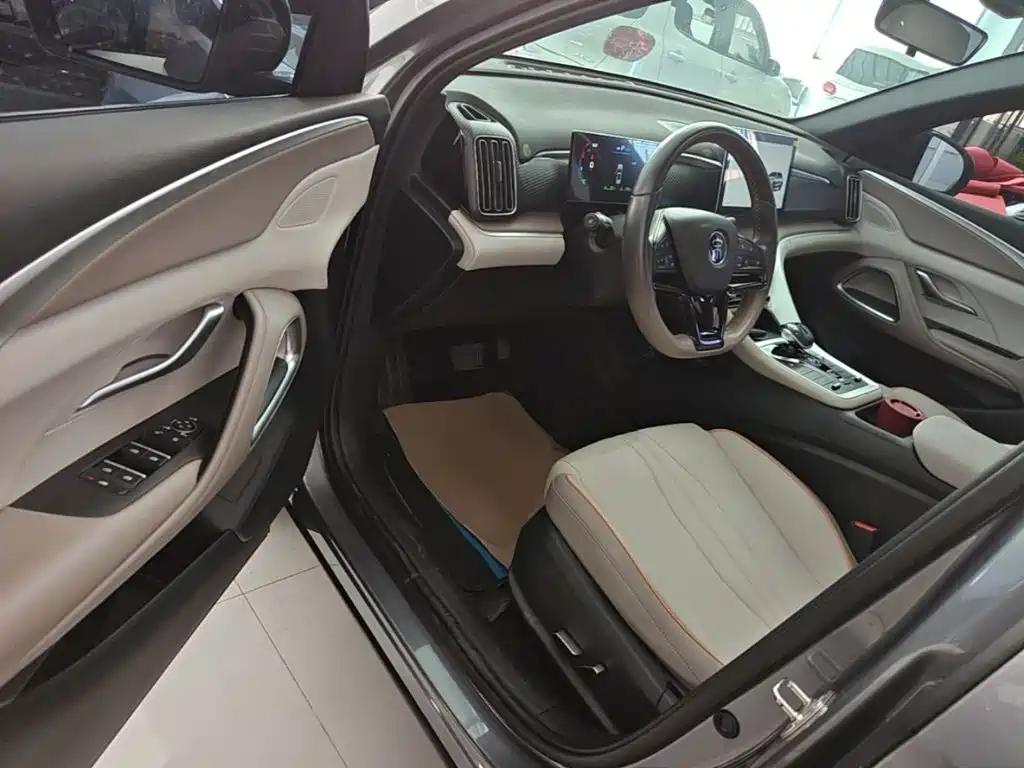 BYD Pro New Energy — миниатюра 16