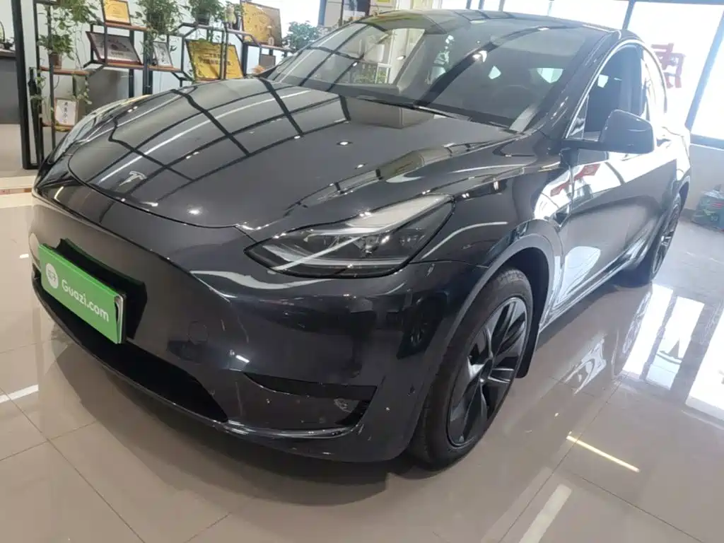 Tesla Model Y — миниатюра 2