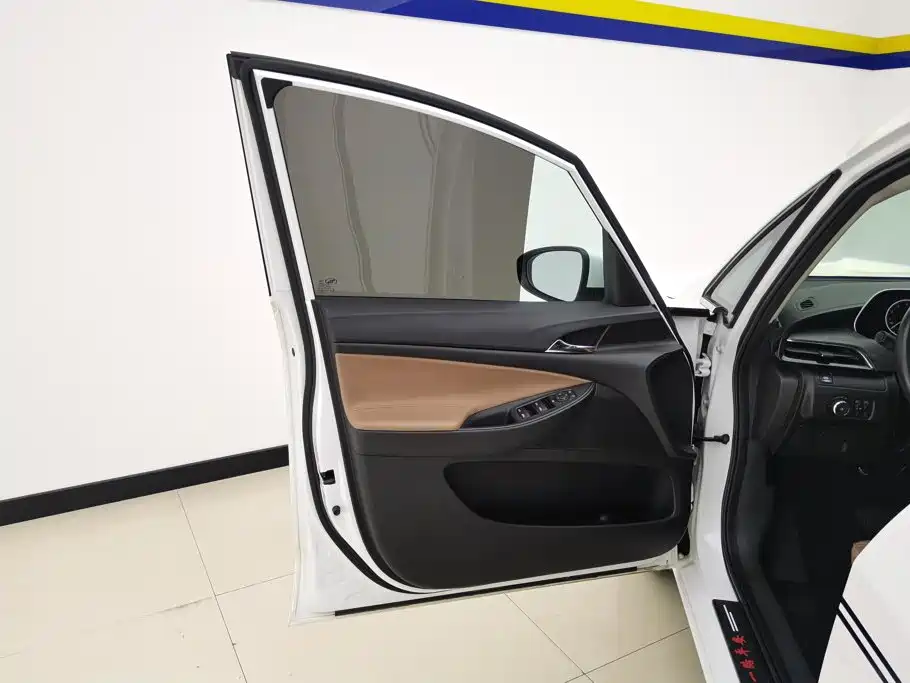 Buick GL6 — миниатюра 7