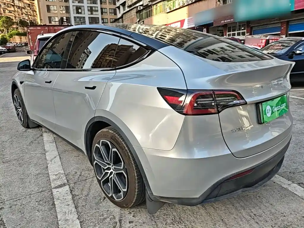 Tesla Model Y — миниатюра 5