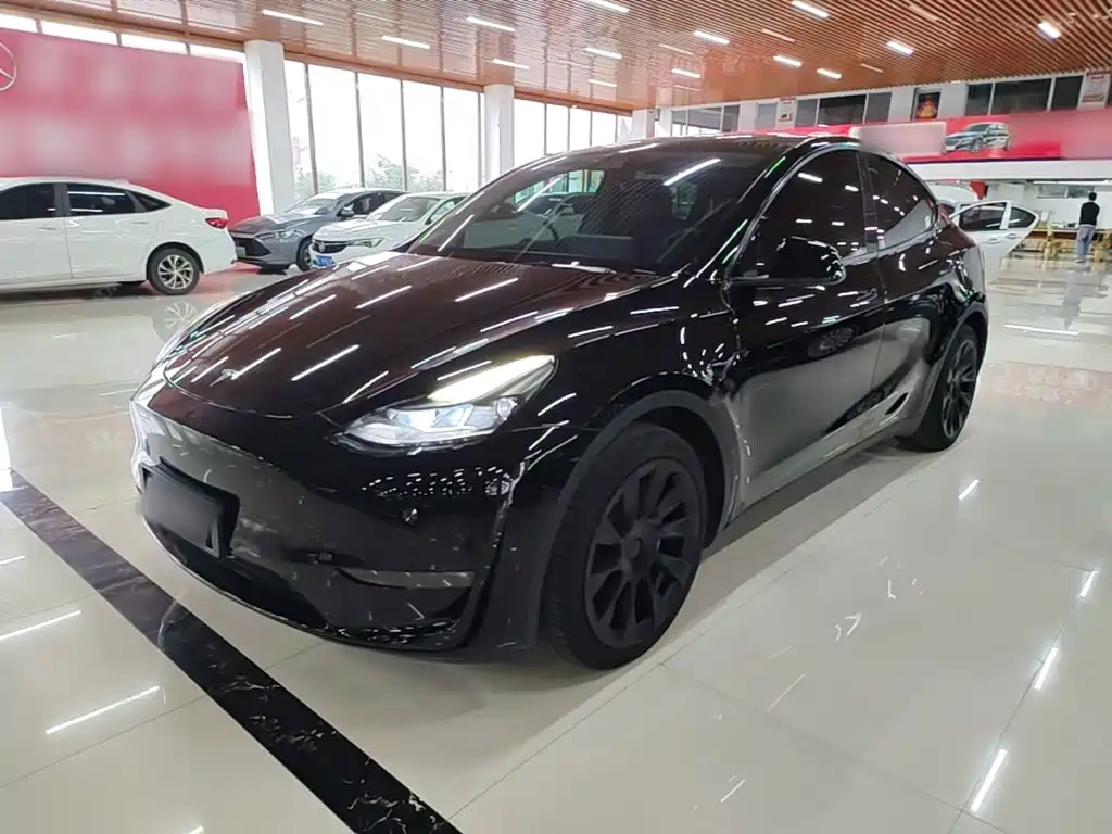 Tesla Model Y — миниатюра 2