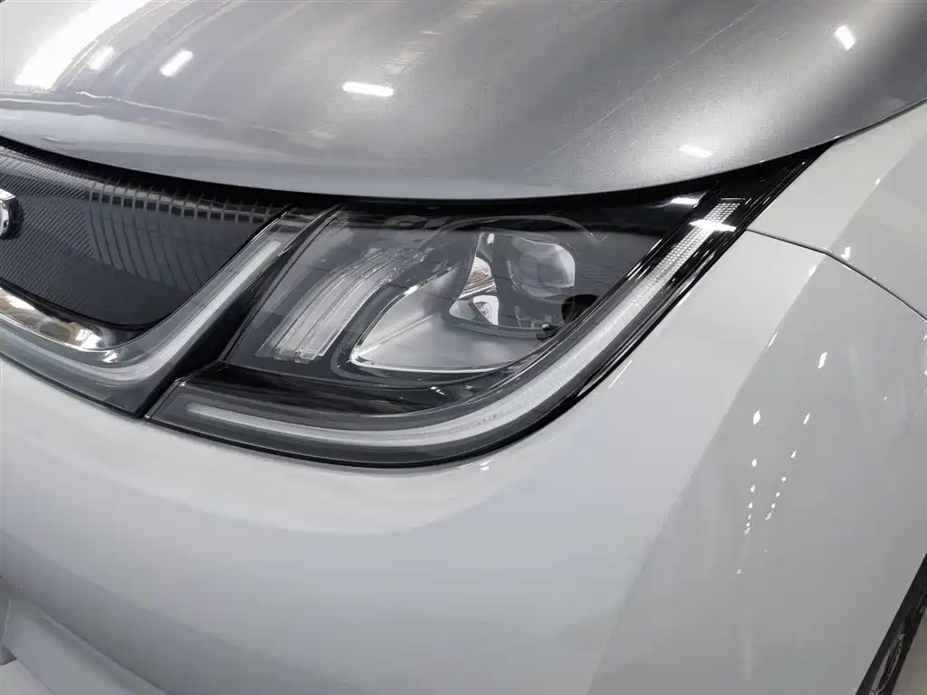 BYD Dolphin 2021 405km Fashion