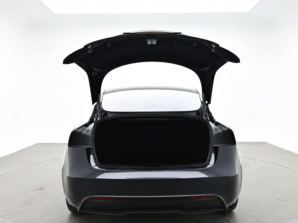 Tesla Model 3 — миниатюра 10