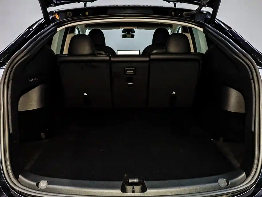 Tesla Model Y — миниатюра 6