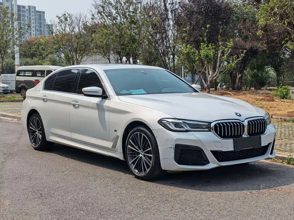 BMW 5 Series — миниатюра 3