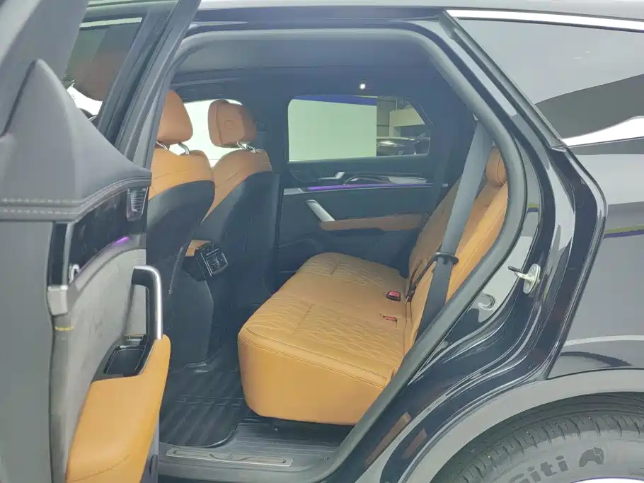 BYD Tang New Energy — миниатюра 11