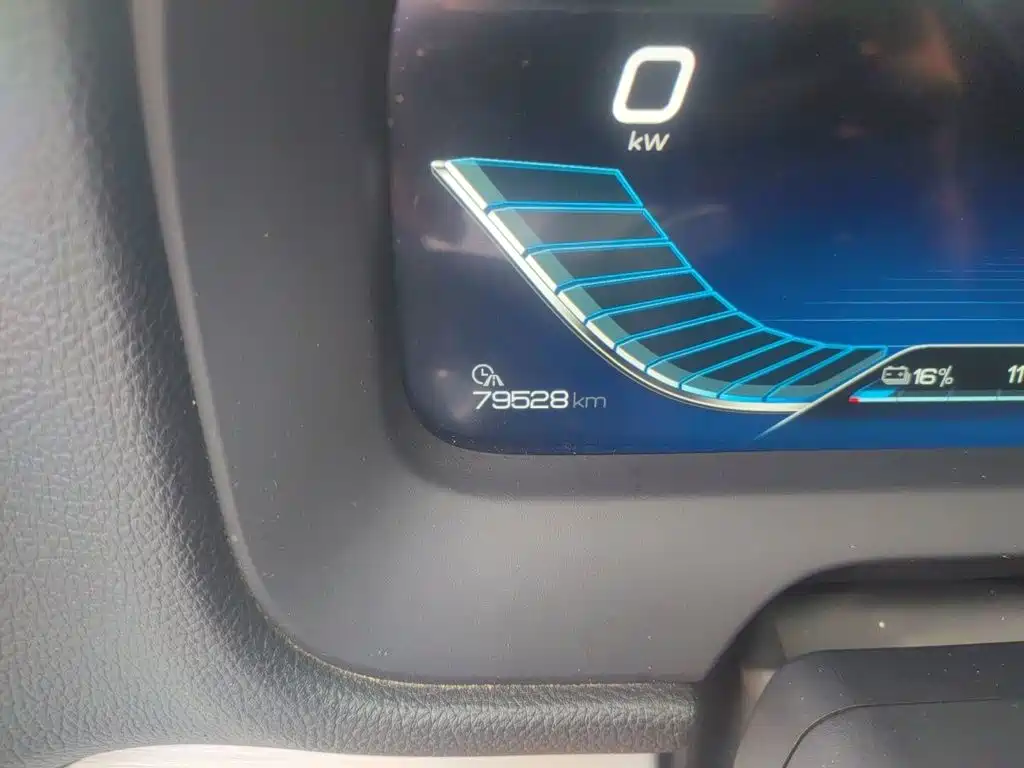 BYD Tang New Energy — миниатюра 13