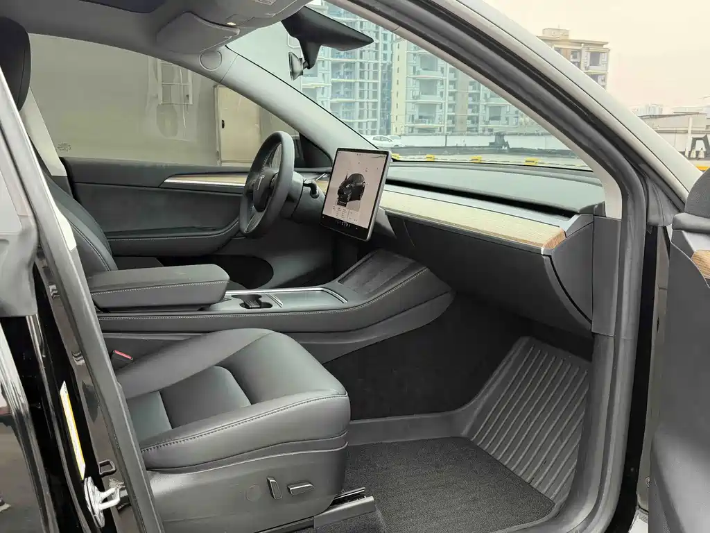 Tesla Model Y — миниатюра 10