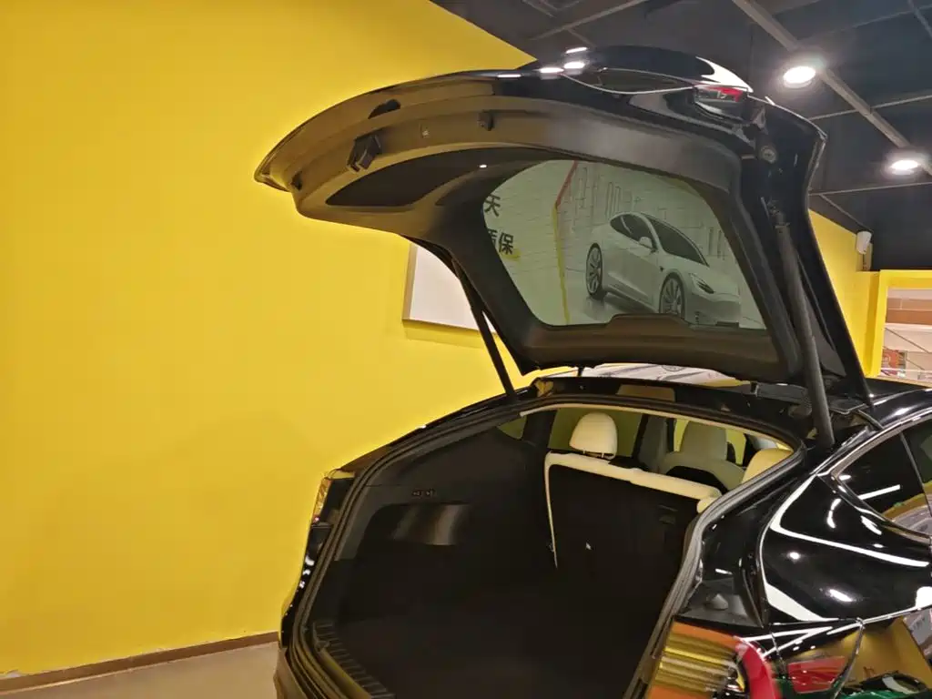 Tesla Model Y — миниатюра 19