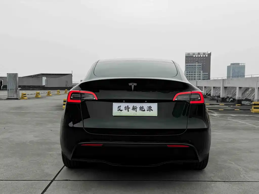 Tesla Model Y — миниатюра 6