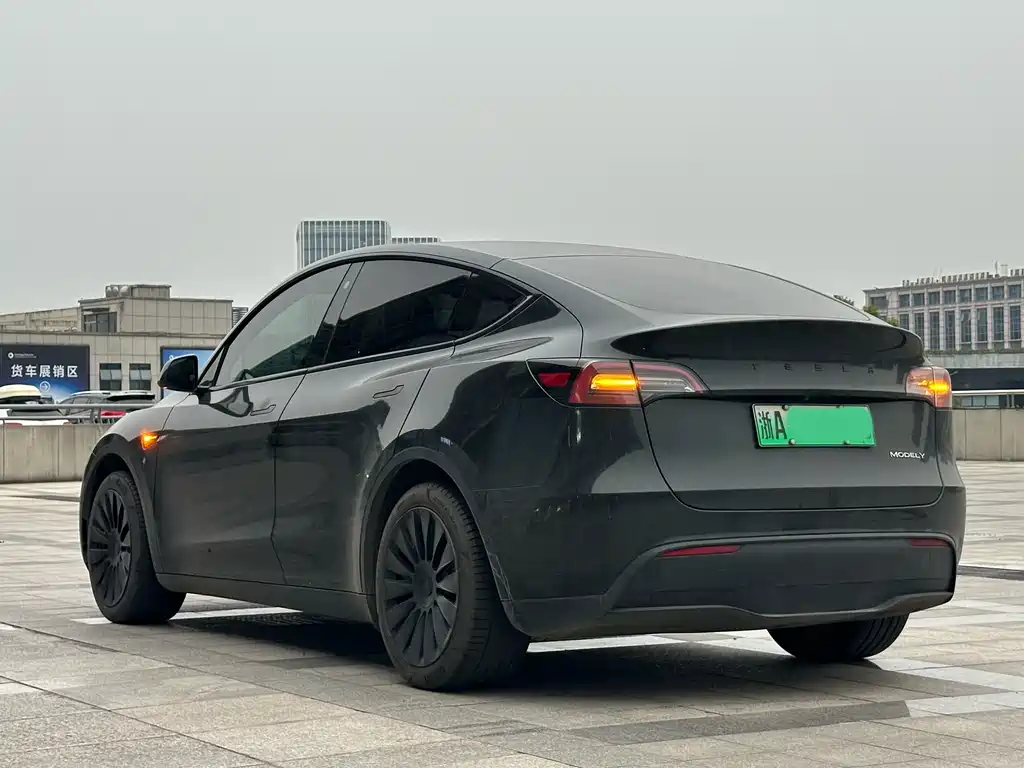 Tesla Model Y — миниатюра 4