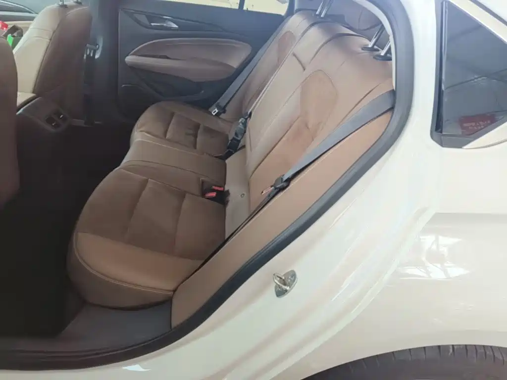 Buick Regal — миниатюра 17