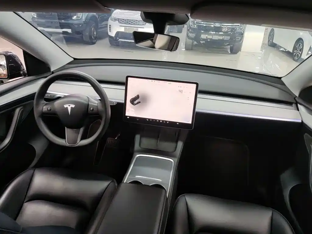 Tesla Model Y — миниатюра 10