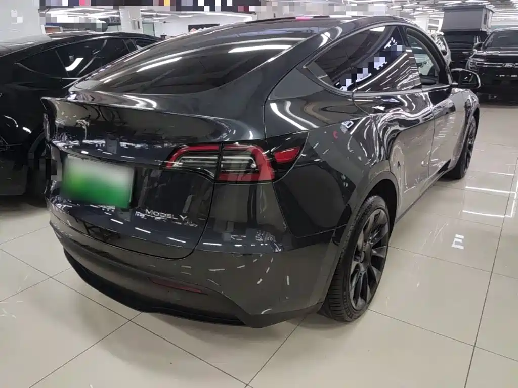 Tesla Model Y — миниатюра 7