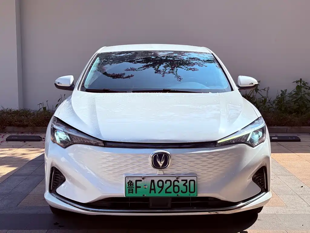 CHANGAN YIDONG NEW ENERGY