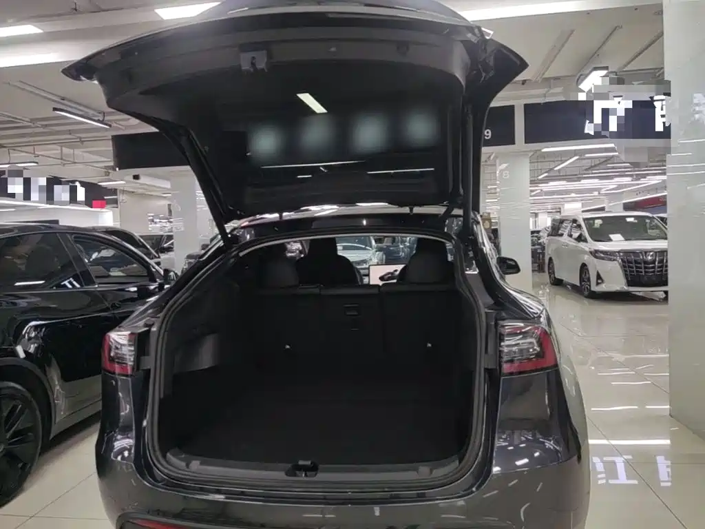 Tesla Model Y — миниатюра 19
