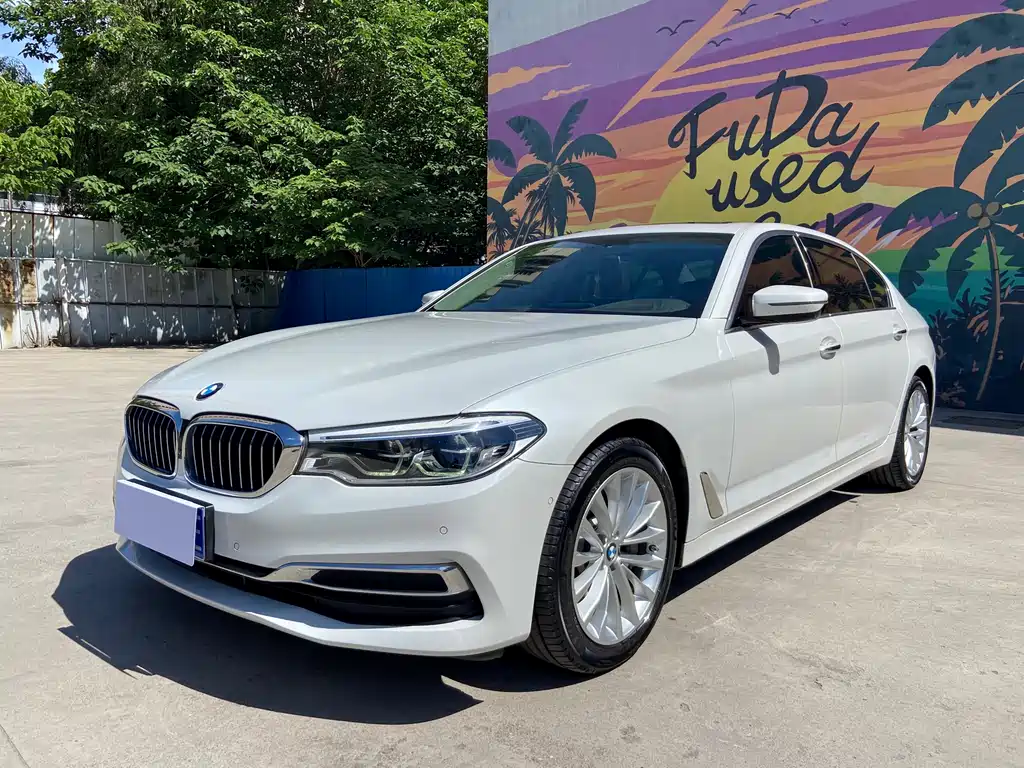 BMW 5 Series 2020 530Li Premium Type Luxury Package