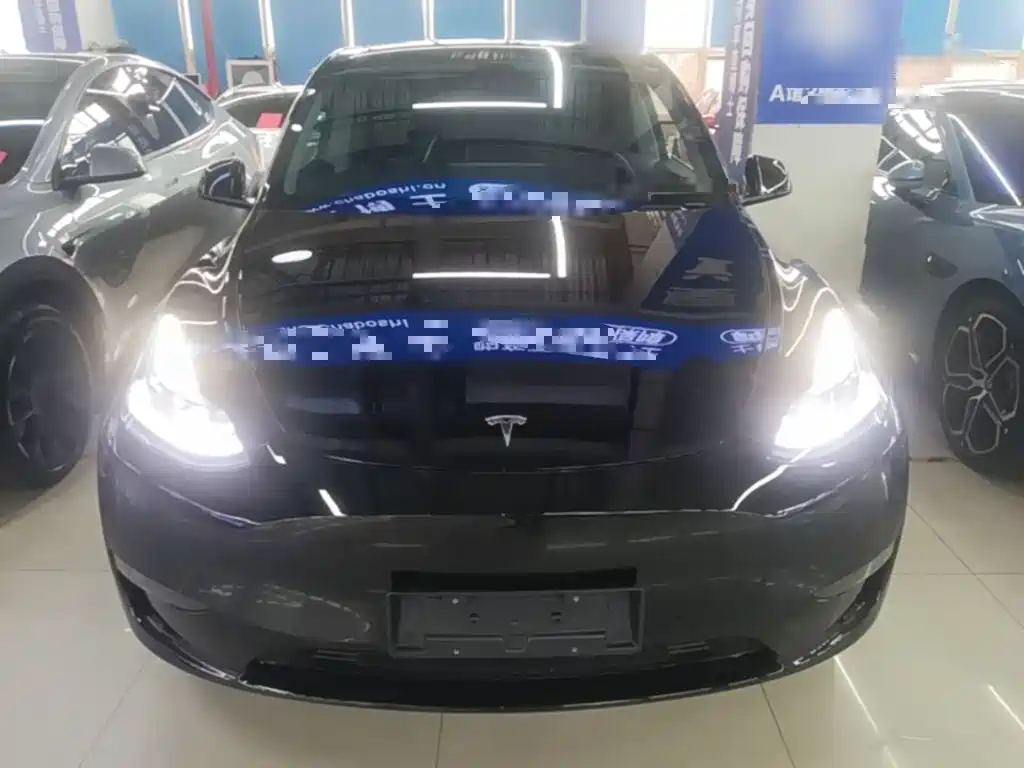Tesla Model Y — миниатюра 3