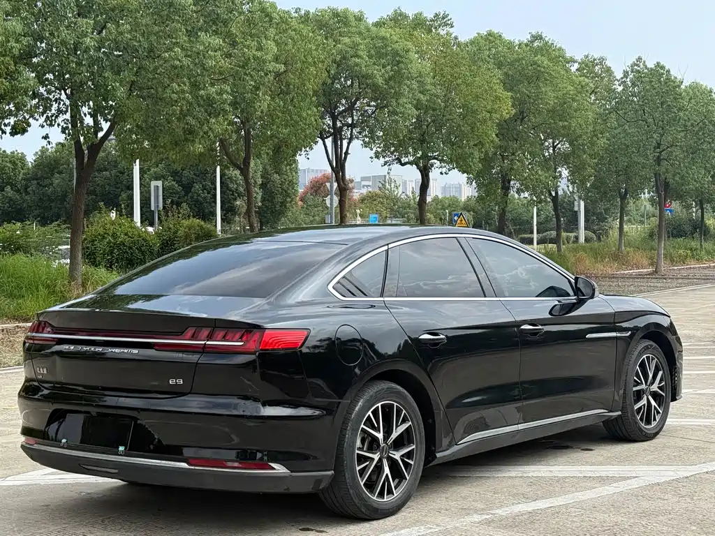 BYD e9 — миниатюра 9