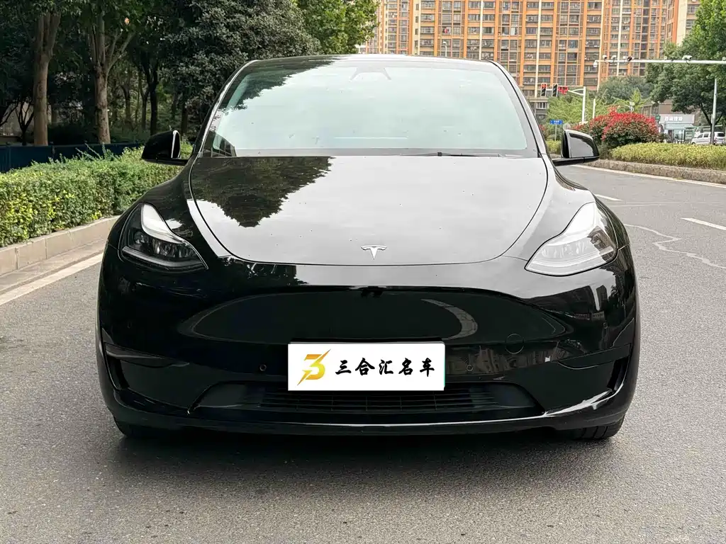 Tesla Model Y — миниатюра 2