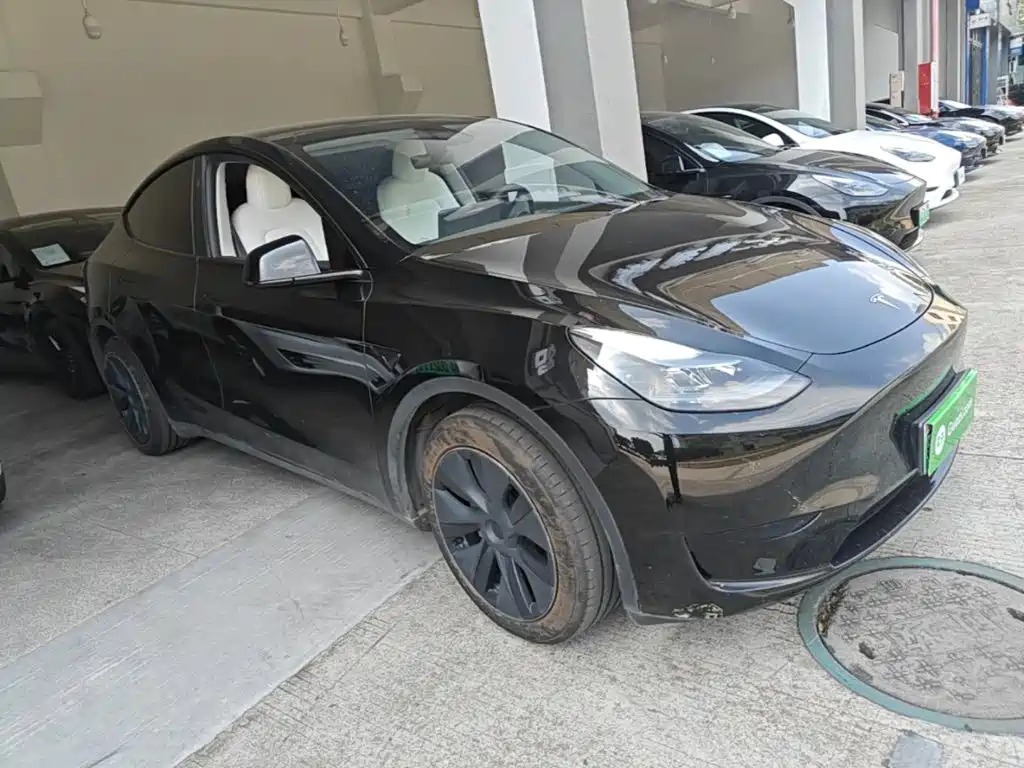Tesla Model Y — миниатюра 4