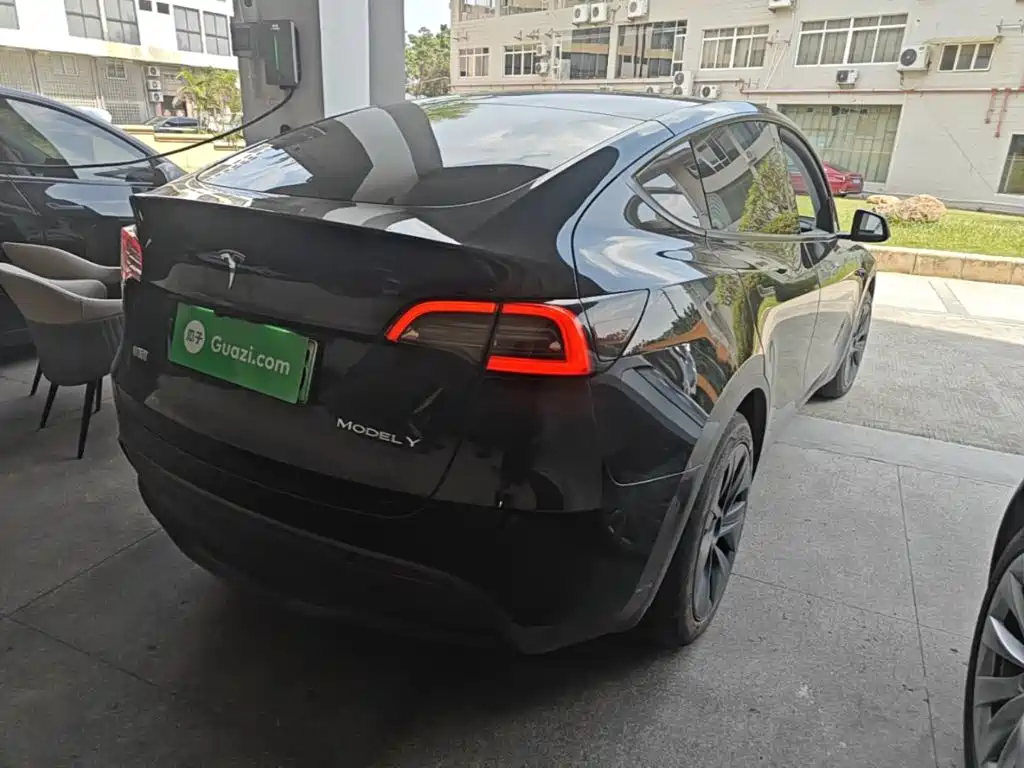 Tesla Model Y — миниатюра 7