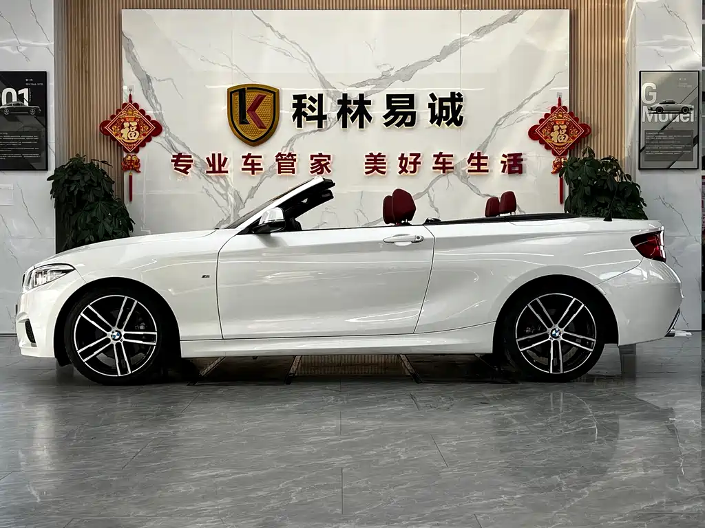 BMW 2 Series (Import) — миниатюра 7