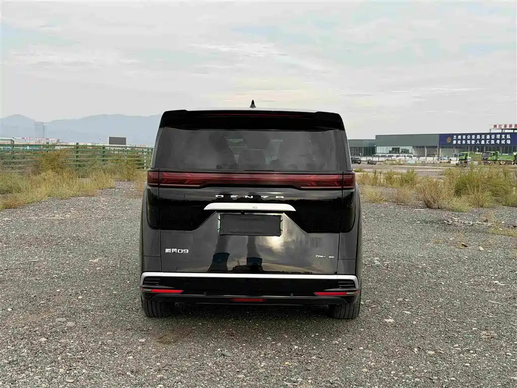 Denza Denza D9 — миниатюра 5
