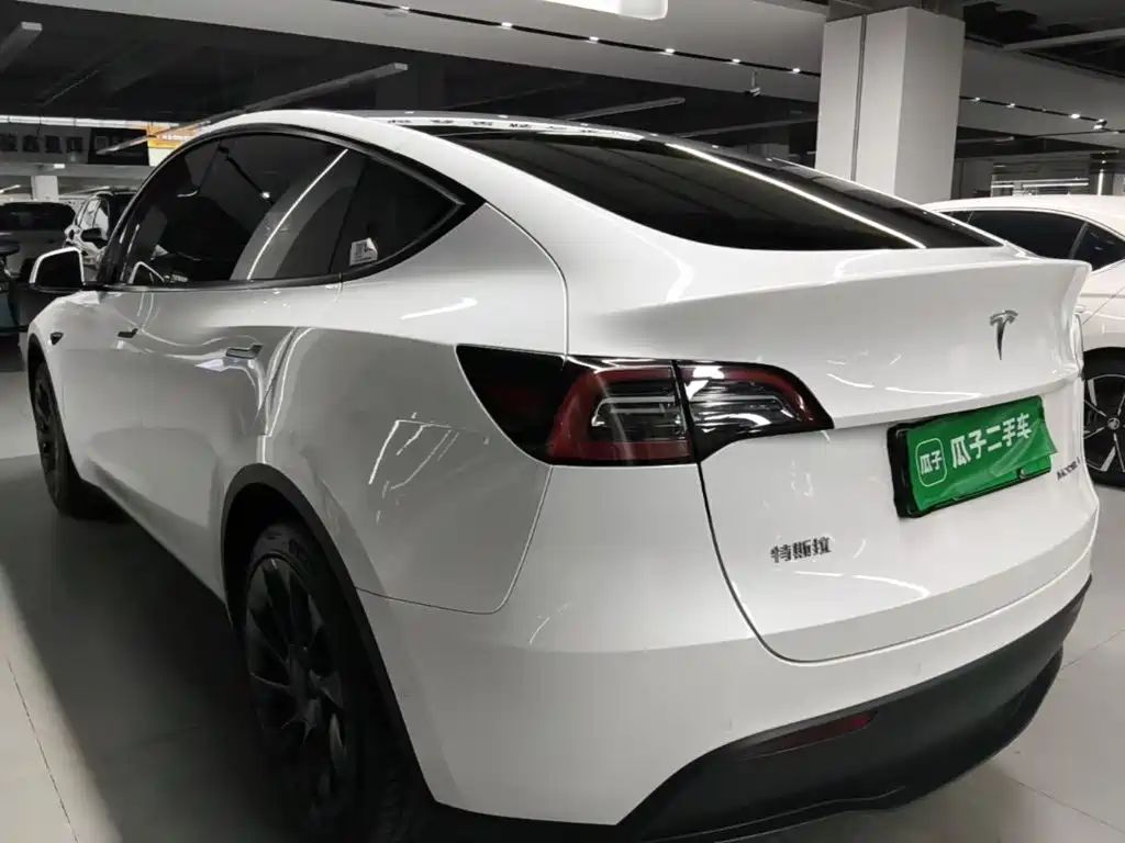 Tesla Model Y — миниатюра 5