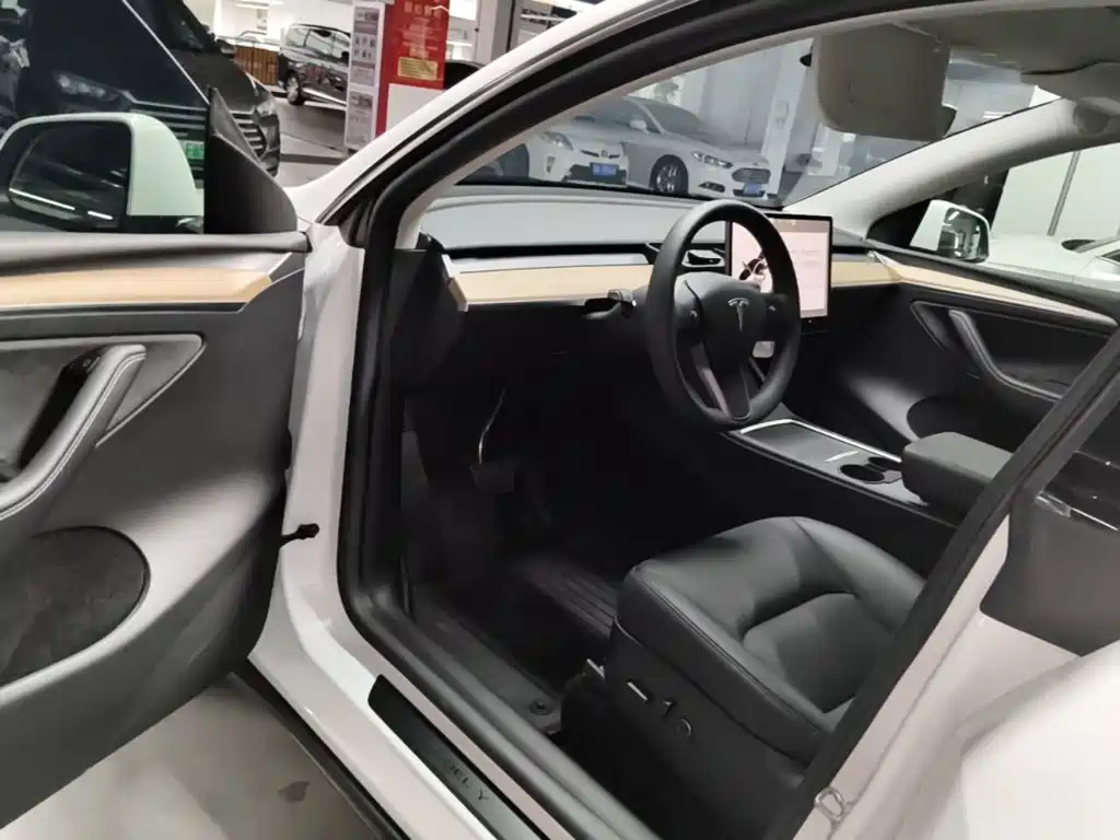 Tesla Model Y — миниатюра 16