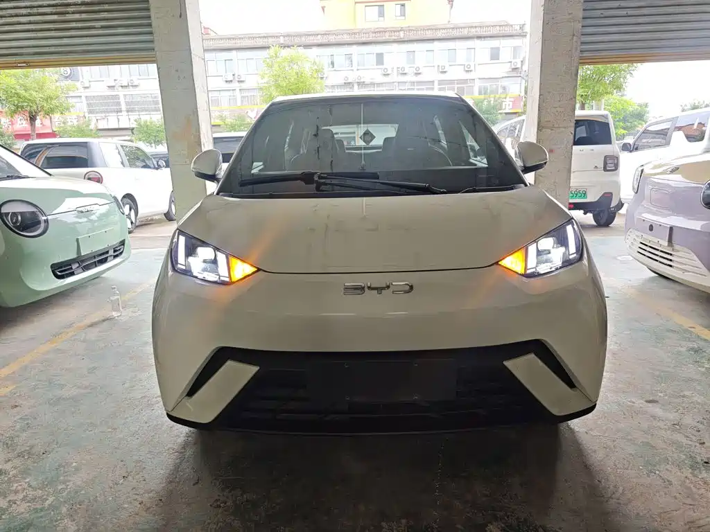 BYD Seagull 2024 305km Freedom
