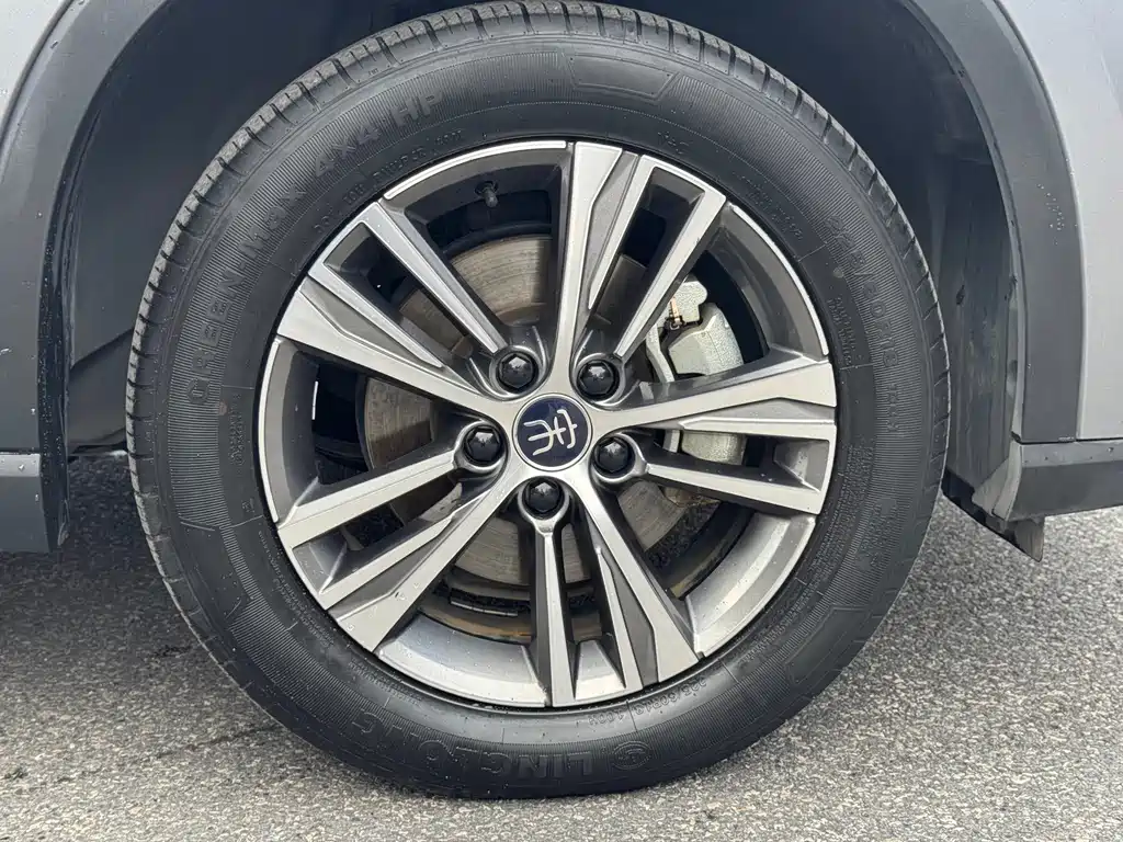 BYD Pro New Energy — миниатюра 23